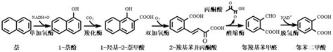 多酶偶联转化芳香族化合物的方法