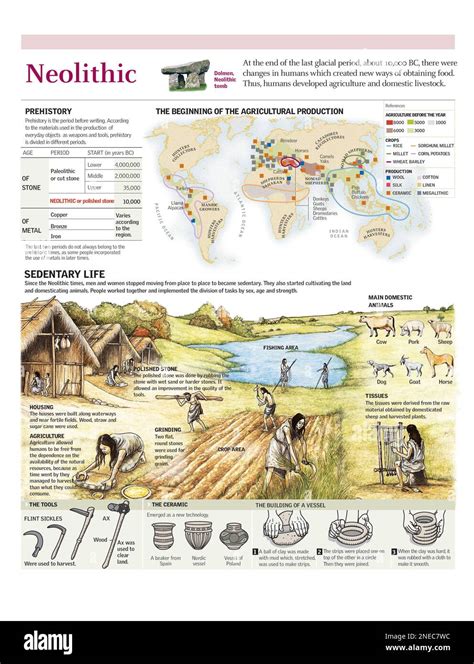 Infographics of the changes that occurred in the Neolithic, the ...