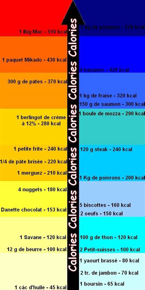 Combien de kcal par jour Découvrez votre besoin quotidien en calories