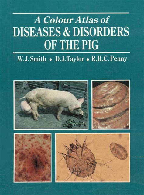 A Colour Atlas Of Diseases And Disorders Of The Pig Vetbooks