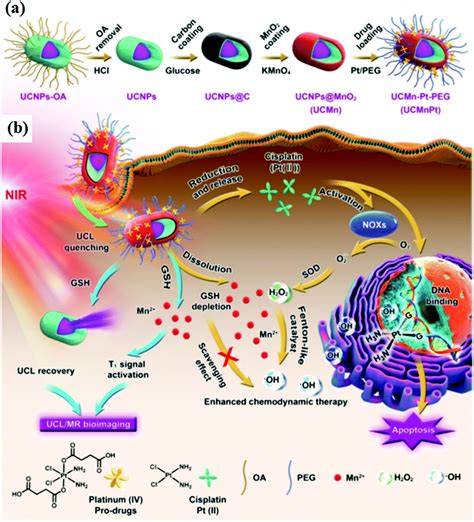 Catalytic Chemistry Of Iron Free Fenton Nanocatalysts For Versatile