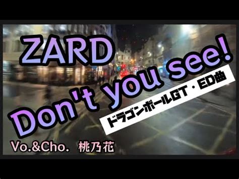 Don T You See Zard Cover Youtube