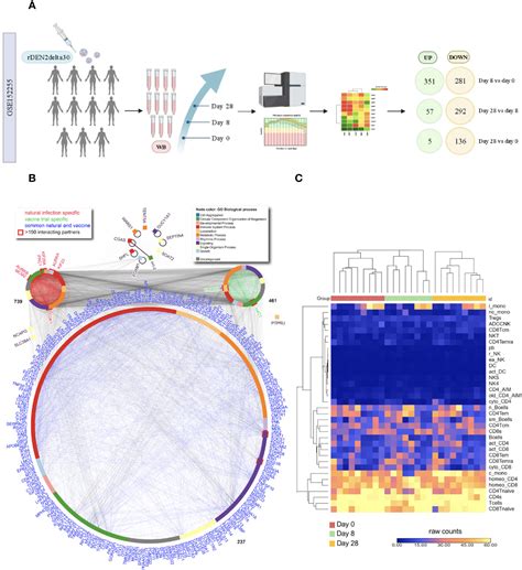 Frontiers Immunological Signatures Unveiled By Integrative Systems