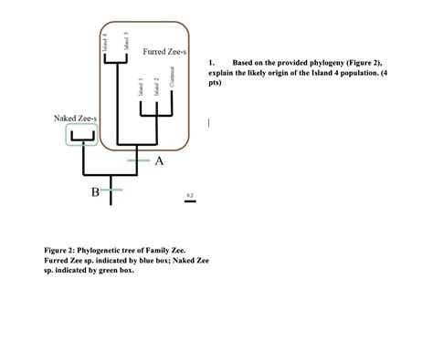 Solved Island Furred Zee S Island Based On The Provided Phylogeny