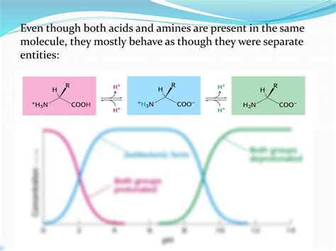 Solution Amino Acids Complete Lecture Studypool