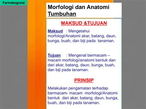 SOLUTION Asistensi Morfologi Dan Anatomi Tumbuhan Studypool