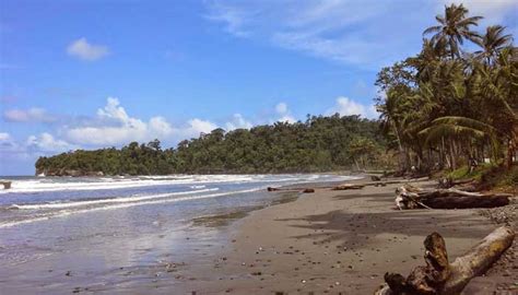 Menjelajahi Tempat Wisata Terbaik Di Kabupaten Buru Selatan