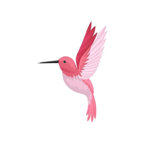 Platte Vector Icoon Van Vliegende Kolibrie Colibri Met Roze Veren En