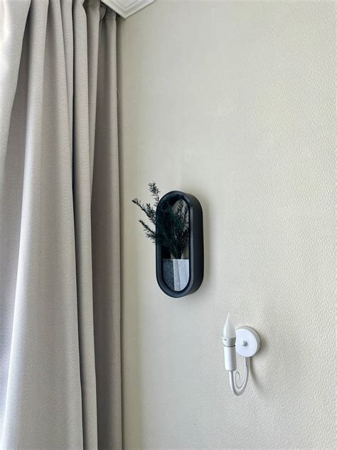 Настенное овальное черное кашпо с чайным деревом - Molecula Decor