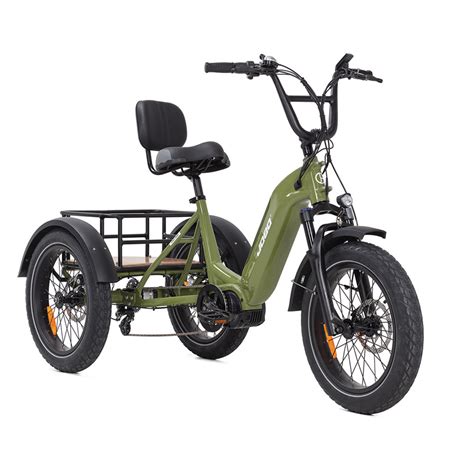 Inch Fat Tire Bafang V W Electric Cargo Bike Electric Trike