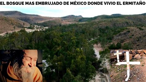 EL BOSQUE MAS EMBRUJADO DE MÉXICO LA CAÑADA DE LOBOS AQUI HAN MUERTO