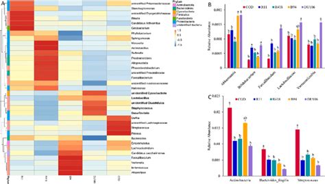 Relative Abundance Analysis Of Some Representative Genus The Heat Map