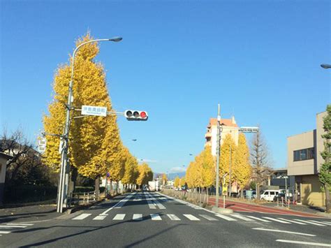 院長日記 牛浜こころの森クリニック 福生市牛浜 牛浜駅 心療内科