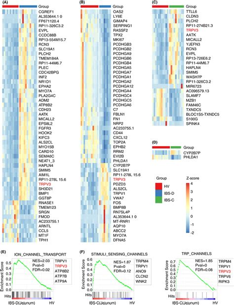 Differential Gene Expression And Signaling Pathways Heatmap Showing