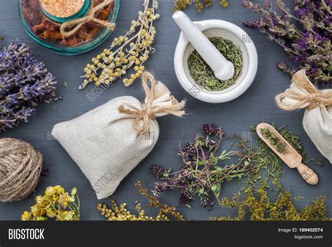 Medicinal Herbs Image And Photo Free Trial Bigstock