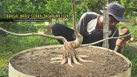 Tahap Awal Membuat Kerangka Dasar Bonsai Waru YouTube