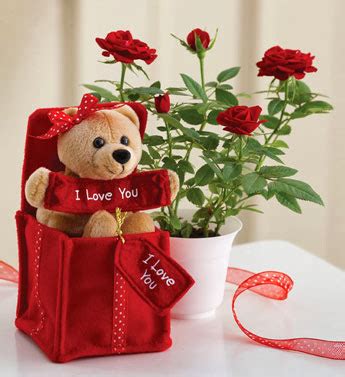 Cute teddy bears with roses - Mobile wallpapers