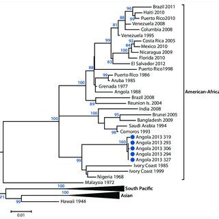 Phylogenetic Tree Depicting The Dengue Virus Type Circulating In