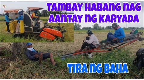 Karyada Ng Palay Tagal Hinantay Pag Papa Ani Harvester Conbine