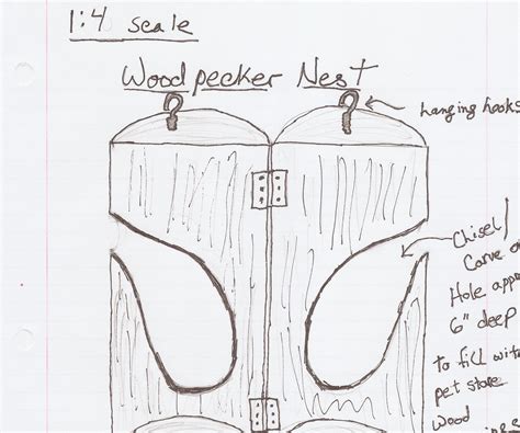 Red-Headed Woodpecker Nesting Box : 7 Steps (with Pictures) - Instructables