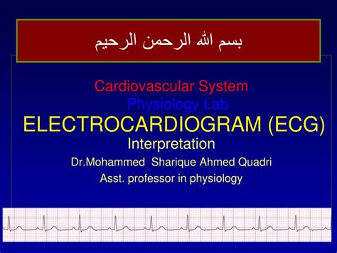 Ppt Electrocardiogram Ecg Powerpoint Presentation Free Download