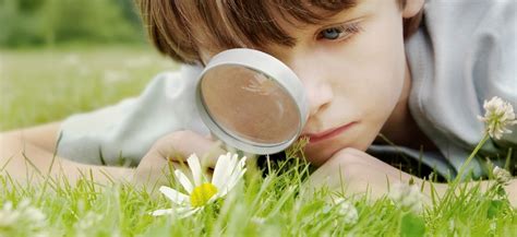 inteligencia naturalista las inteligencias multiples