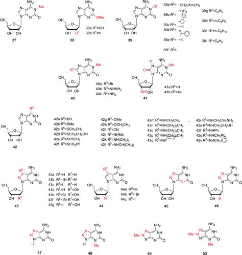 The Development Of Isoguanosine From Discovery Synthesis And