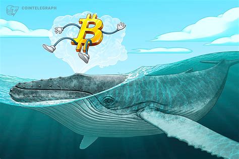 Bitcoin Whales Not Selling Despite 70k — Btc Holdings Growth ‘is Going