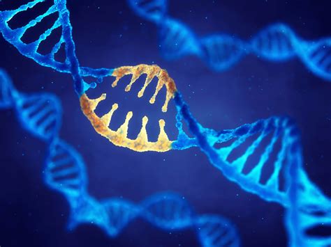 Gene Editing Technique Cures Genetic Disorder In Utero