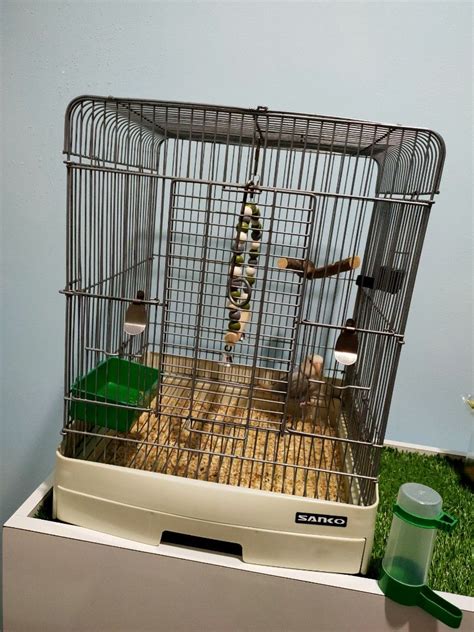 Sanko Stainless Steel Bird Cage Pet Supplies Homes Other Pet