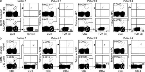 Cd1b Restricted T Cell Populations Express The αβ Tcr And Cd4 Pbmcs