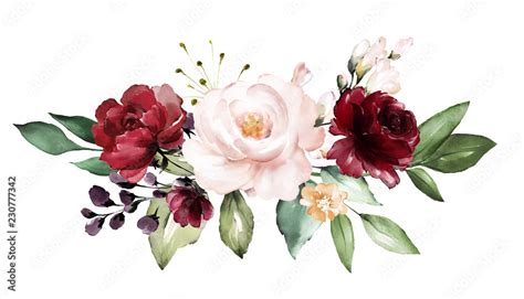 Watercolor Burgundy Flowers Floral Illustration Leaf And Buds