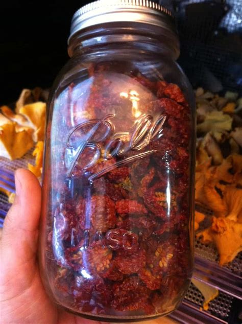 Recipe Soft And Chewy Sun Dried Tomatoes Tyrant Farms