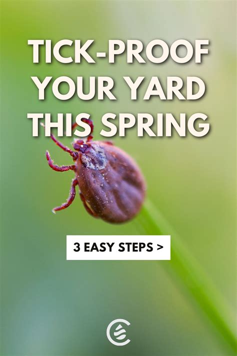 Get Rid Of Ticks Tick Repellent For Humans Natural Tick Repellent