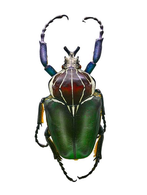 - https://ralphhargarten.de