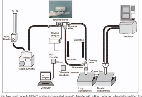 Figure 1 From Fio2 In An Adult Model Simulating High Flow Nasal Cannula Therapy Semantic Scholar