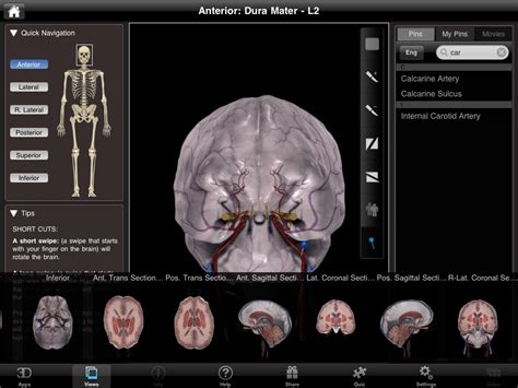 NOVA Series Proves Its Worth With Brain Pro iPad Anatomy App