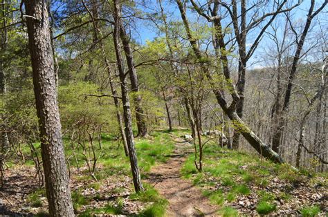 De Soto Falls Trail System Mentone Alabama Hiking The Appalachians