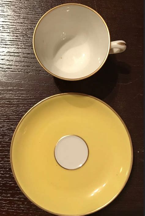 Richard Ginori Italy Demitasse Cup And Saucer Set Of 2 Pastel Etsy