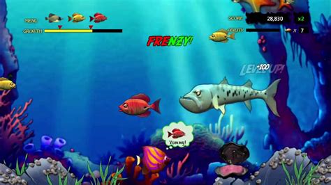 Feeding Frenzy 1 Xbox One X Full Gameplay Youtube