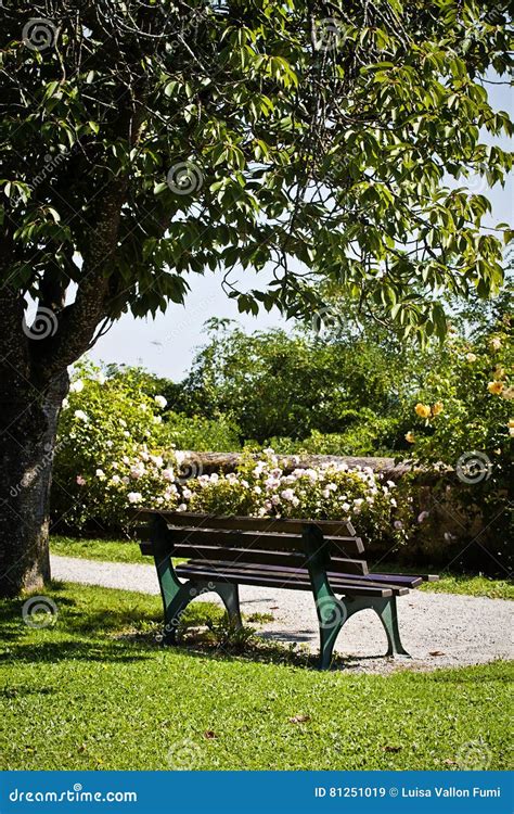 Beautiful Park In Summer Wooden Bench Stock Image Image Of Germany