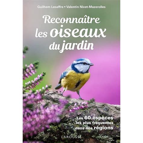 Buy Reconnaitre Les Oiseaux Du Jardin Les Esp Ces Les Plus