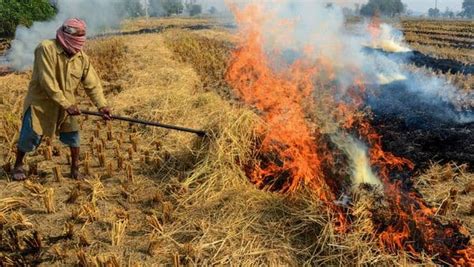 Nasa Records Over 57 000 Stubble Fires Between Nov 1 13 In Punjab Haryana Today News