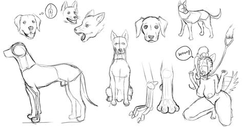 Some More Practice By Blackless Hentai Foundry