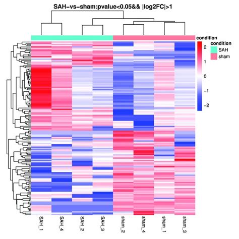 Heatmap Of Differential MicroRNA MiRNA Expression Between Sham And