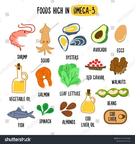 Foods High Omega 3 Vector Illustration Stock Vector Royalty Free