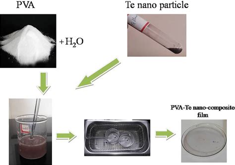 Schematic Preparation Procedure Of Pva And Pva Te Nano Composites