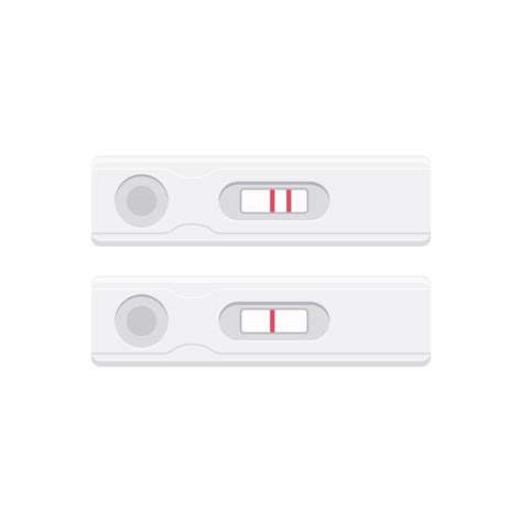 Pregnancy Tests Positive And Negative 15397369 Vector Art At Vecteezy