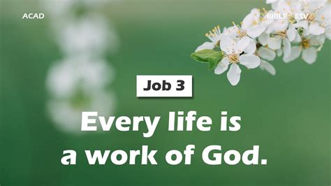 Job 3 】every Life Is A Work Of God ｜acad Bible Reading Youtube