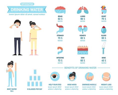 Premium Vector Benefits Of Drinking Water Infographics For Body Water